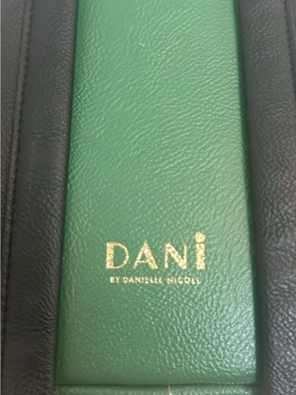 Danielle Nicole green mini